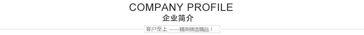 企业简介